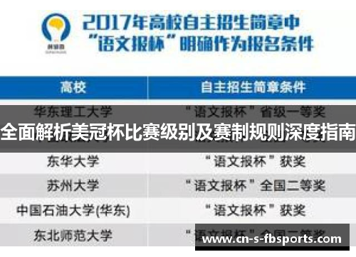 全面解析美冠杯比赛级别及赛制规则深度指南 全面解析美冠杯比赛级别及赛制规则深度指南