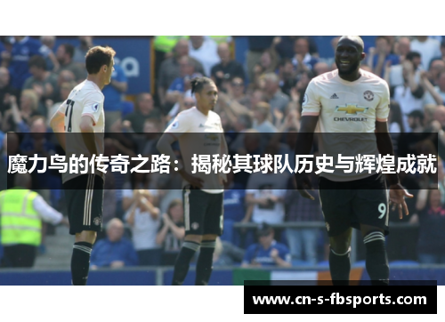 魔力鸟的传奇之路：揭秘其球队历史与辉煌成就