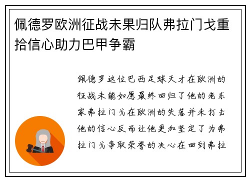 佩德罗欧洲征战未果归队弗拉门戈重拾信心助力巴甲争霸 佩德罗欧洲征战未果归队弗拉门戈重拾信心助力巴甲争霸